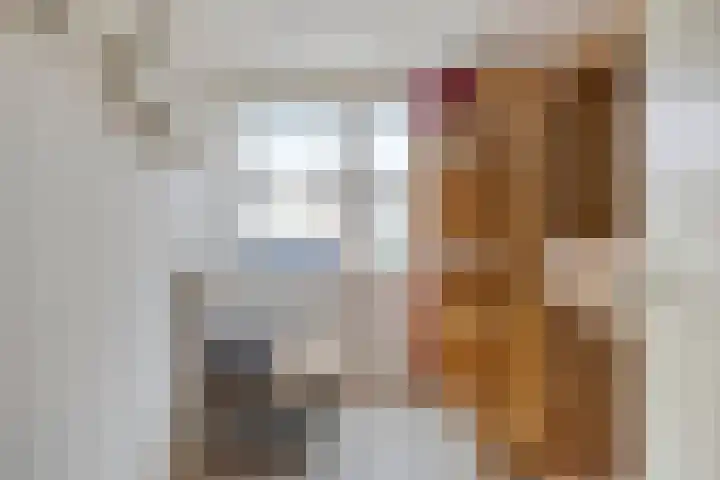 Evertzenstraat 27 Borne thumbnail 20