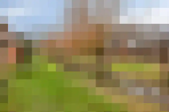 Evertzenstraat 27 Borne thumbnail 27