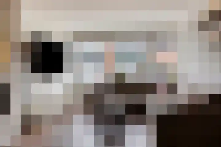 Evertzenstraat 27 Borne thumbnail 7