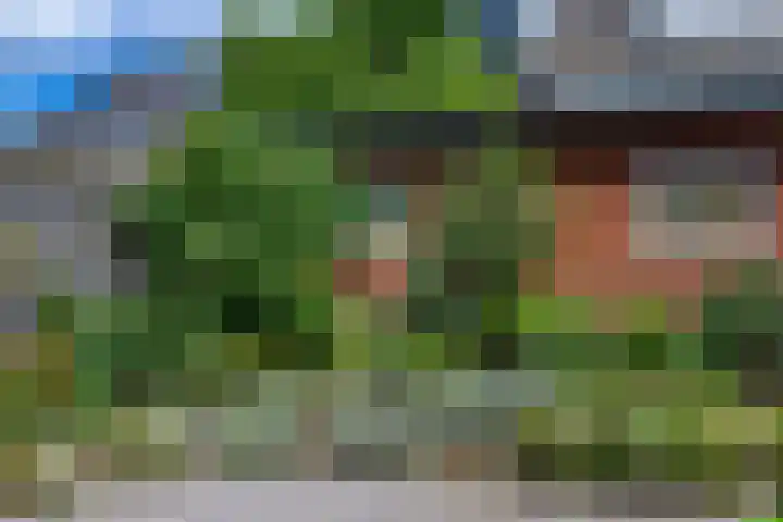 Evertzenstraat 29 Borne thumbnail 25