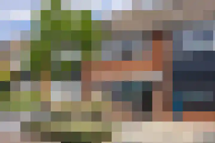 Evertzenstraat 29 Borne thumbnail 28