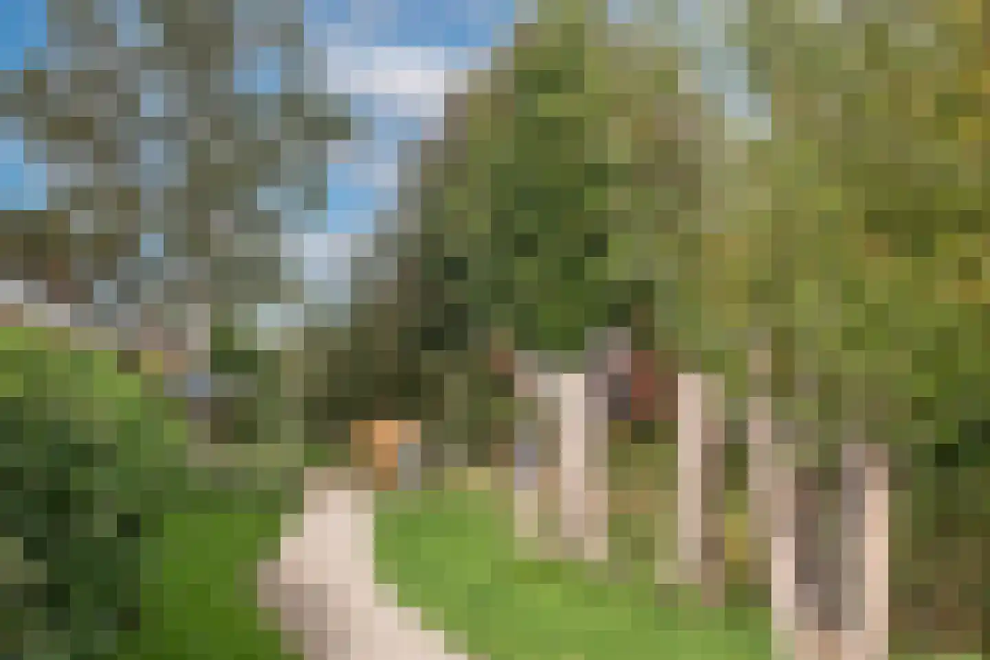 Evertzenstraat 33 Borne thumbnail 4