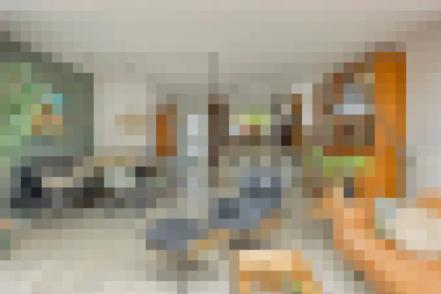 Everweide 2 Zoetermeer thumbnail 10