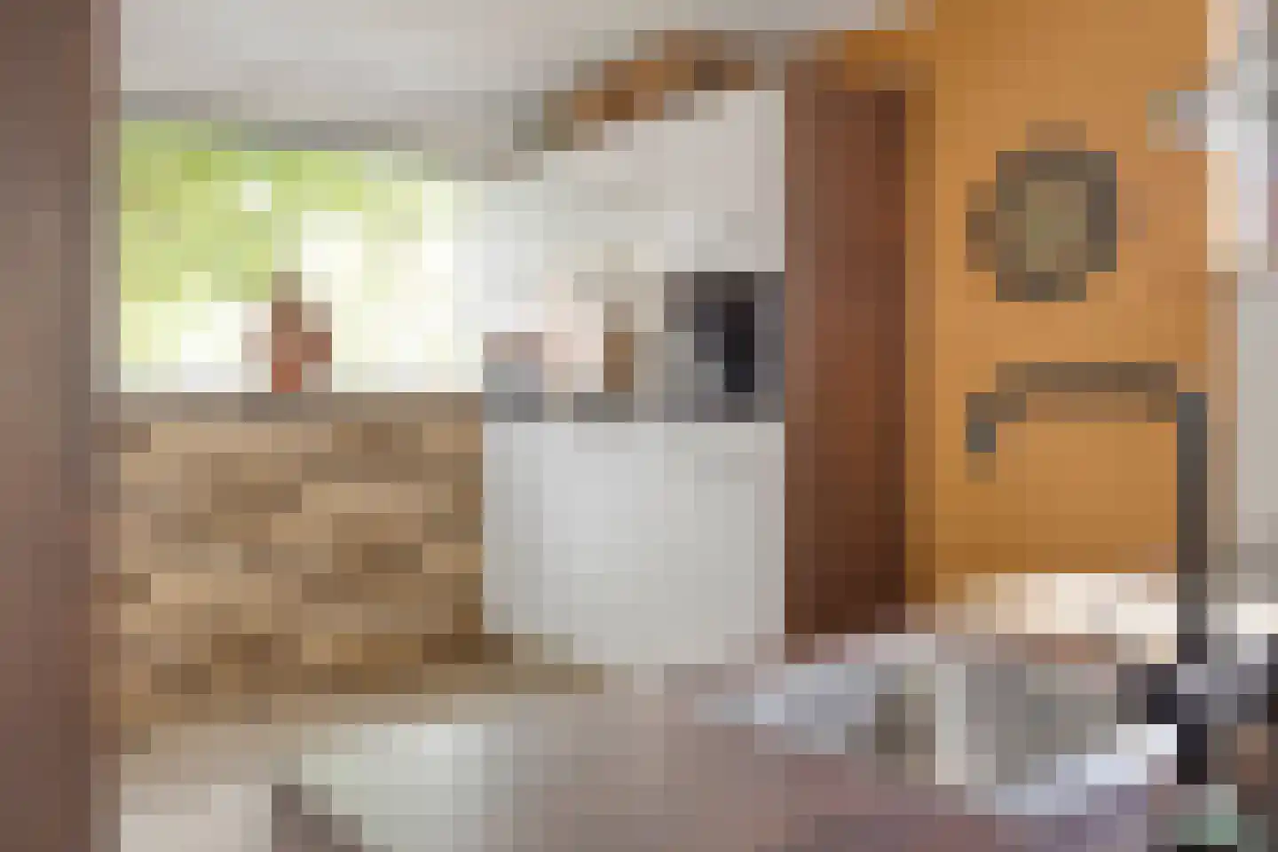 Everweide 2 Zoetermeer thumbnail 13