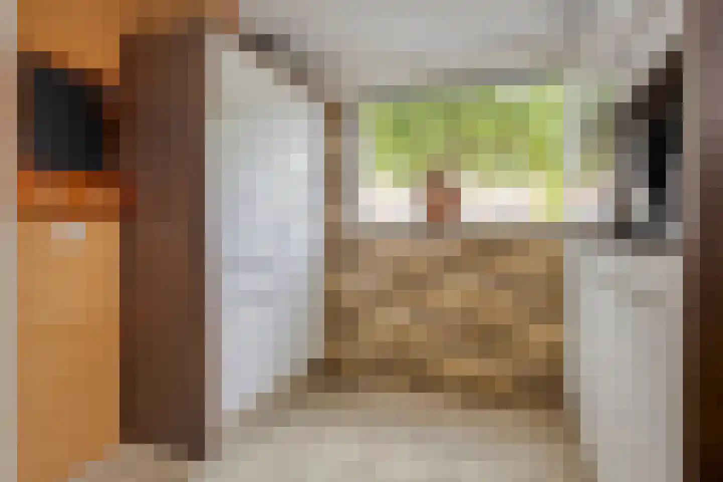 Everweide 2 Zoetermeer thumbnail 16