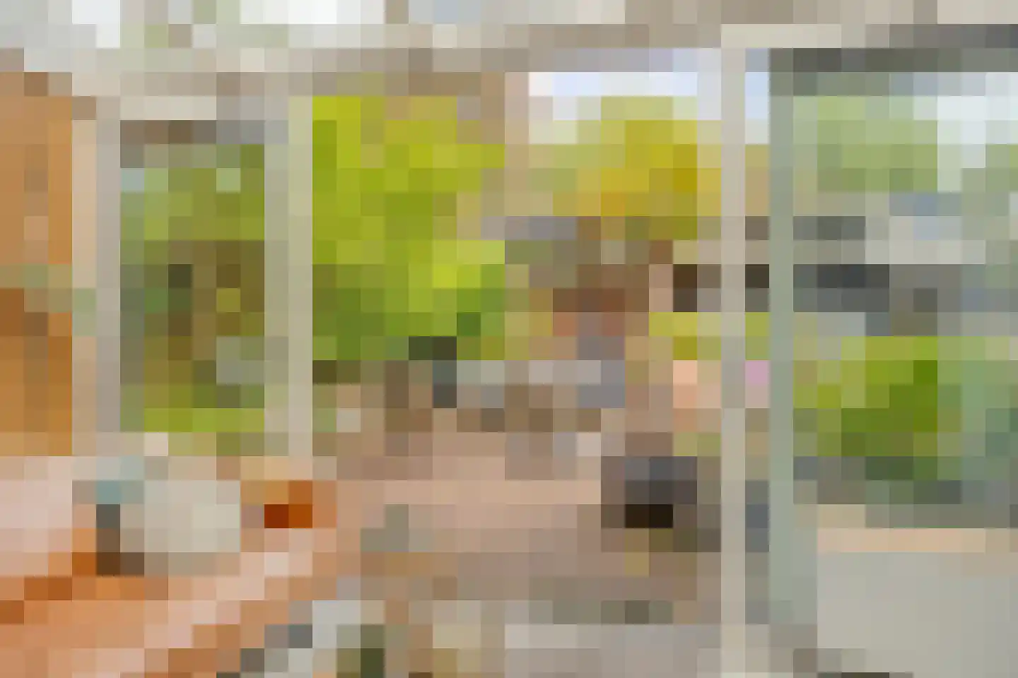 Everweide 2 Zoetermeer thumbnail 18