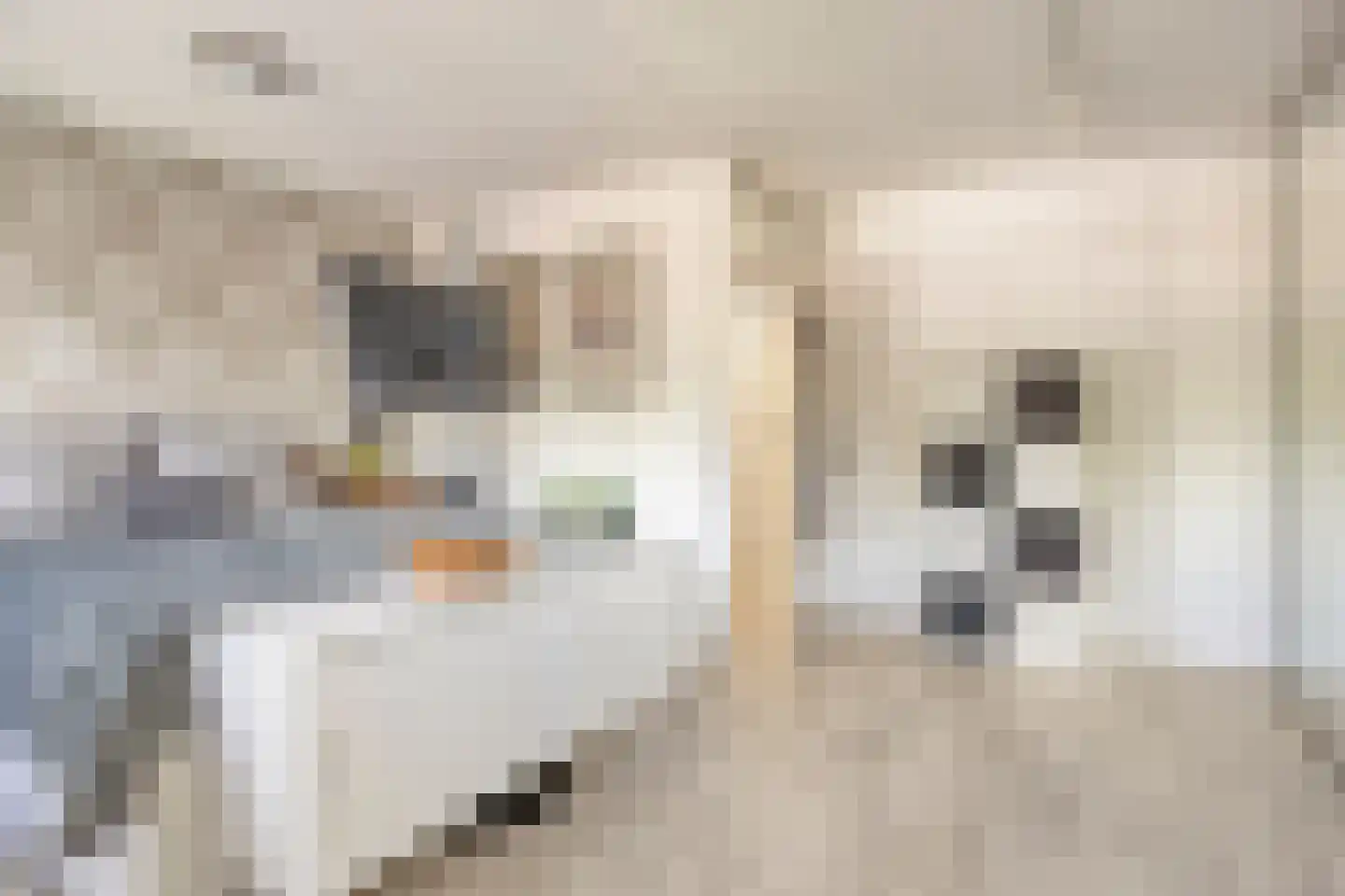 Everweide 2 Zoetermeer thumbnail 21