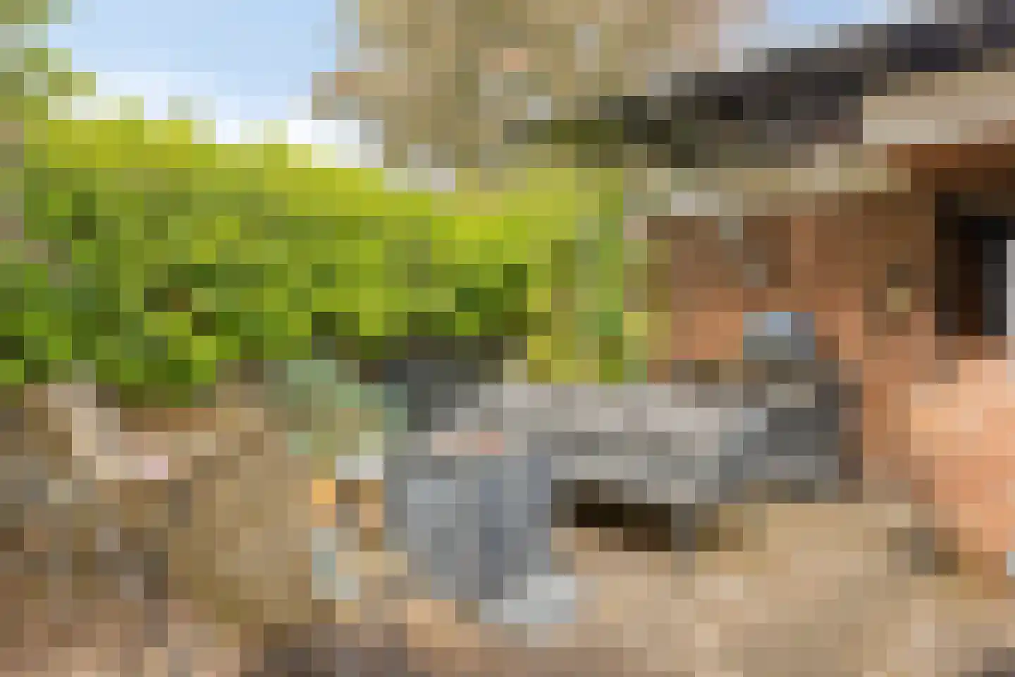 Everweide 2 Zoetermeer thumbnail 39
