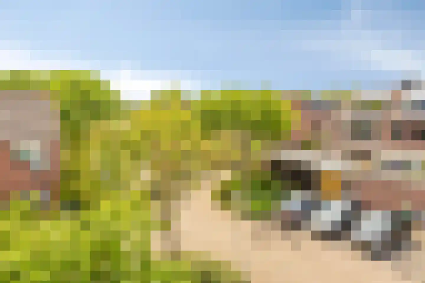 Everweide 2 Zoetermeer thumbnail 46