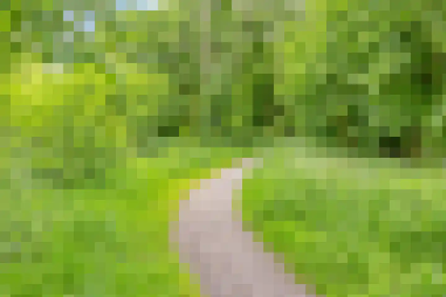 Everweide 2 Zoetermeer thumbnail 55