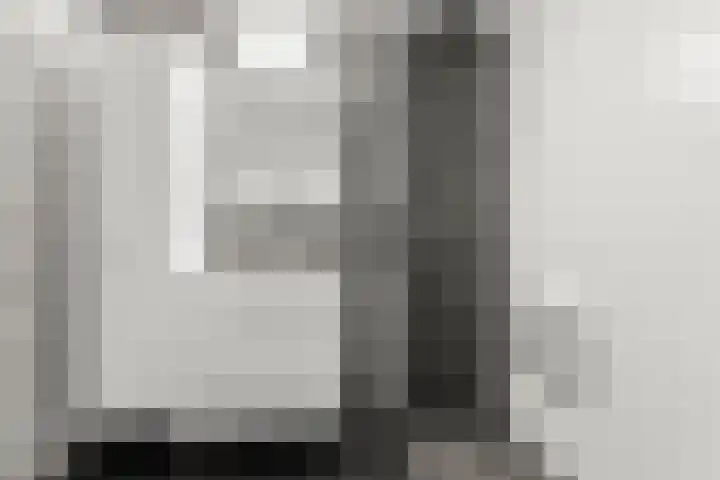 Everwijnlaan 13 Arnhem thumbnail 15