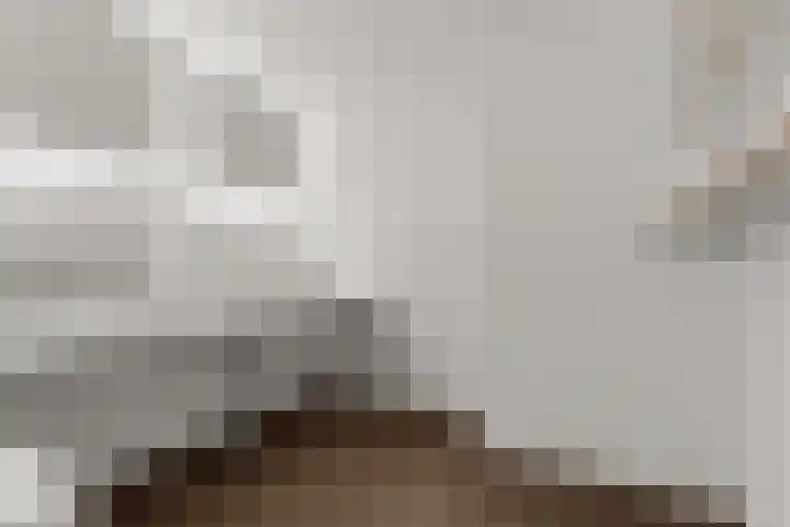 Everwijnlaan 13 Arnhem thumbnail 21