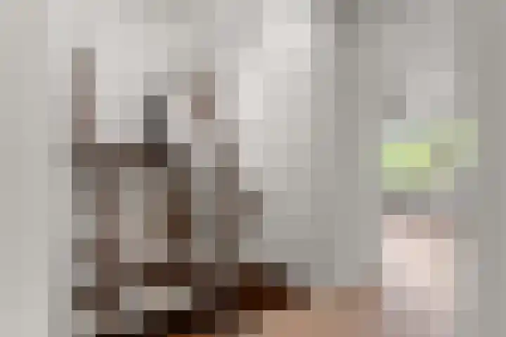 Everwijnlaan 13 Arnhem thumbnail 23