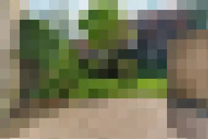 Everwijnlaan 13 Arnhem thumbnail 27