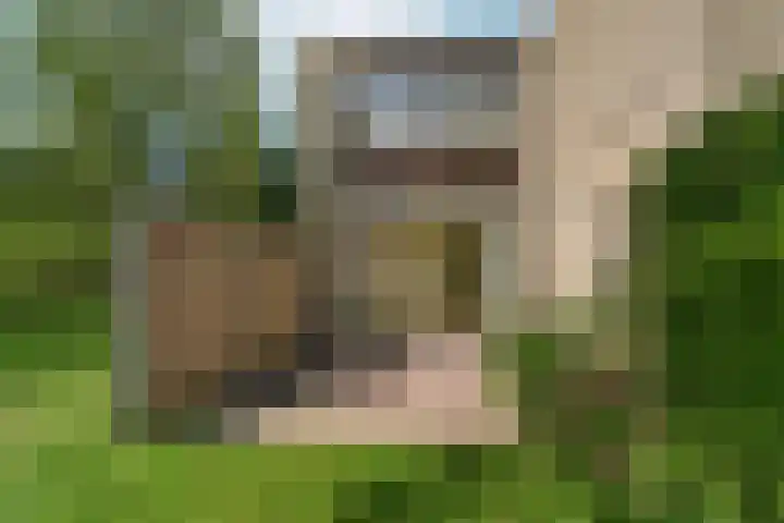 Everwijnlaan 13 Arnhem thumbnail 29