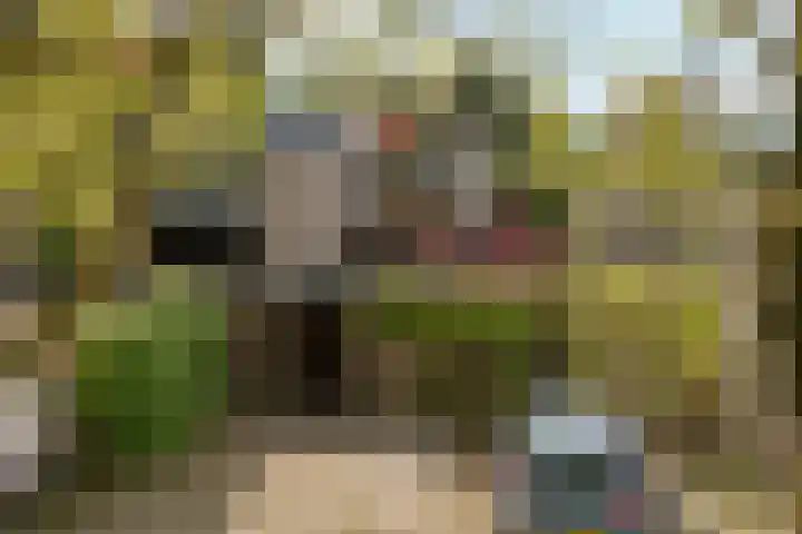 Everwijnlaan 13 Arnhem thumbnail 30