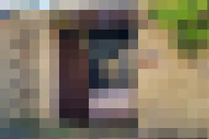 Everwijnlaan 13 Arnhem thumbnail 32