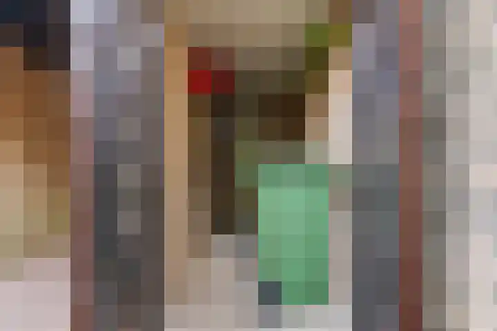 Everwijnlaan 13 Arnhem thumbnail 35