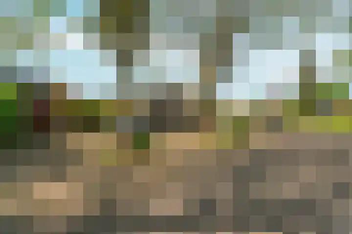 Everwijnlaan 13 Arnhem thumbnail 36