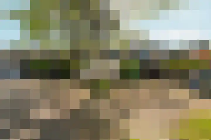 Everwijnlaan 13 Arnhem thumbnail 37