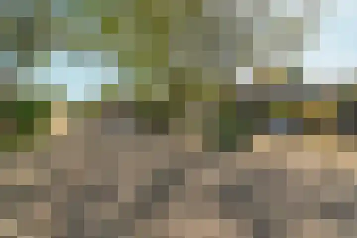 Everwijnlaan 13 Arnhem thumbnail 38