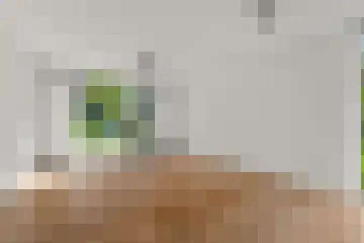 Everwijnlaan 13 Arnhem thumbnail 4