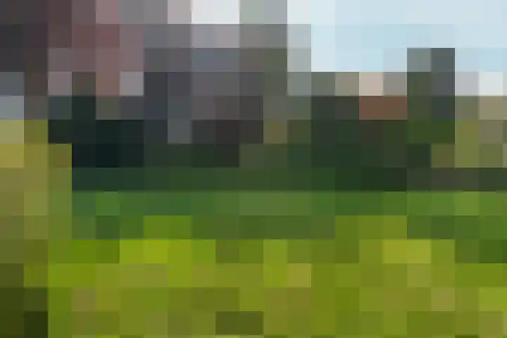 Everwijnlaan 13 Arnhem thumbnail 40