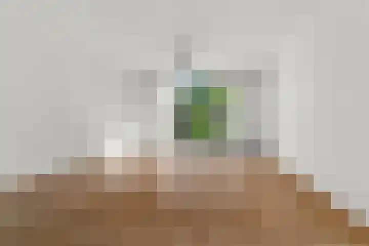Everwijnlaan 13 Arnhem thumbnail 5