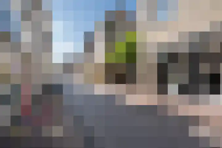 Everwijnstraat 28 Culemborg thumbnail 32