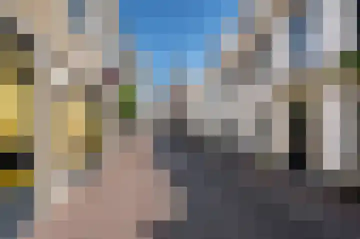 Everwijnstraat 28 Culemborg thumbnail 33