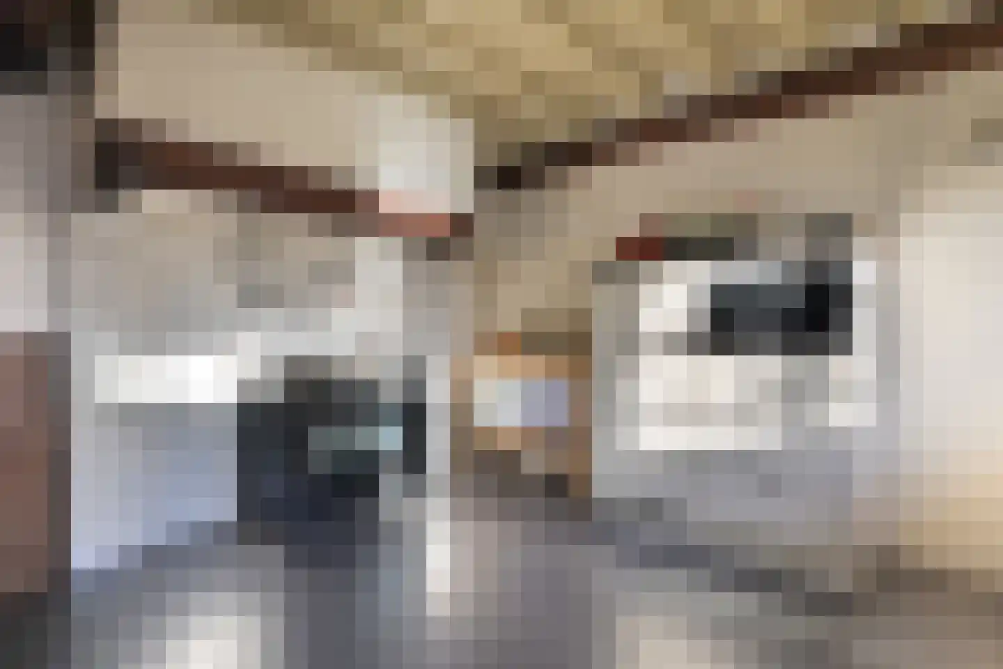 Everwijnstraat 3 Culemborg thumbnail 13