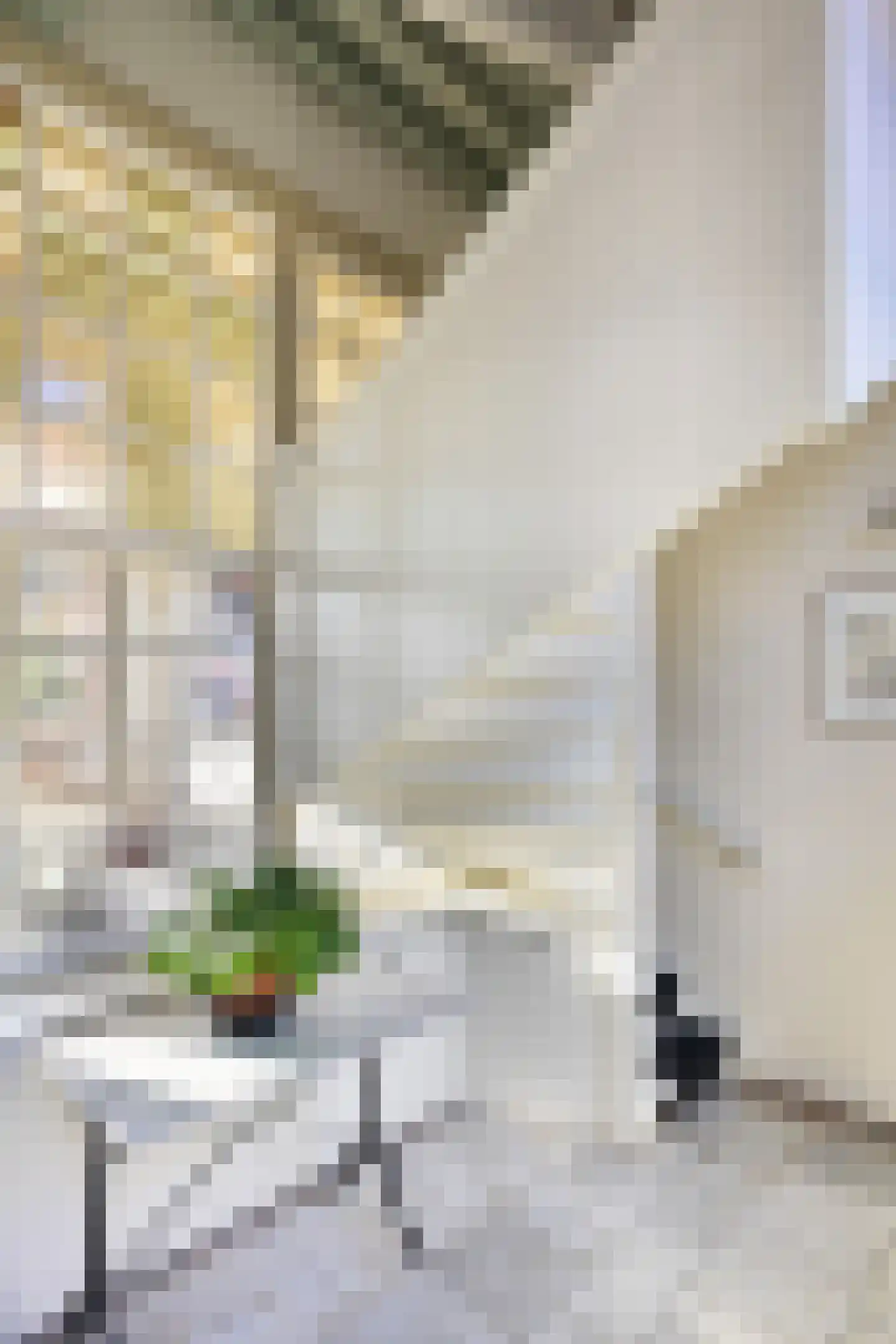 Everwijnstraat 3 Culemborg thumbnail 14