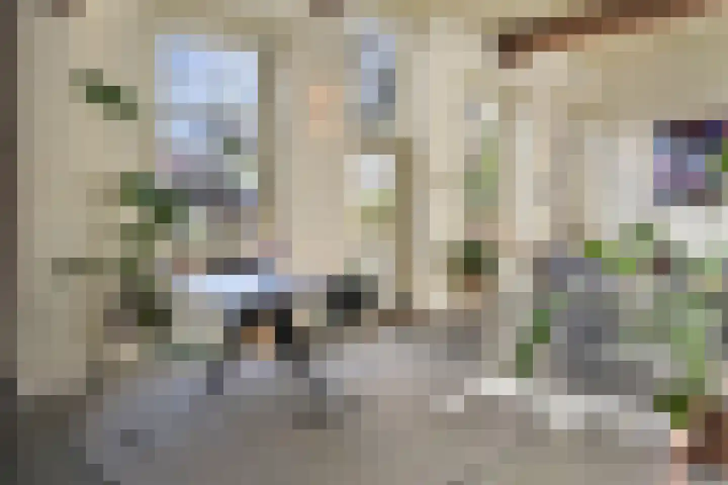 Everwijnstraat 3 Culemborg thumbnail 9