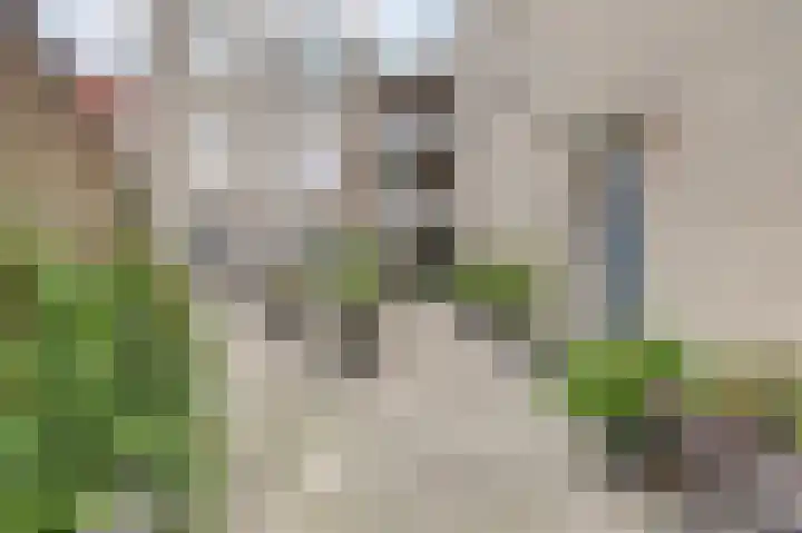 Everwijnstraat 38 Culemborg thumbnail 22