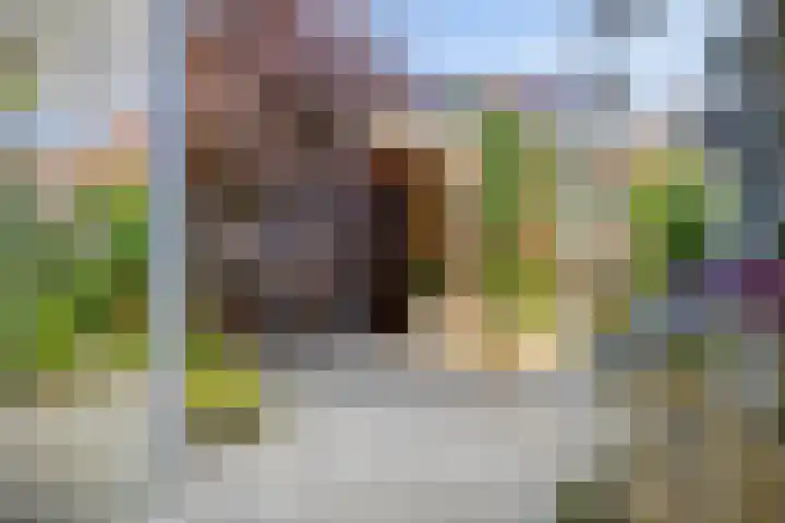 Evestraat 13 Veldhoven thumbnail 14