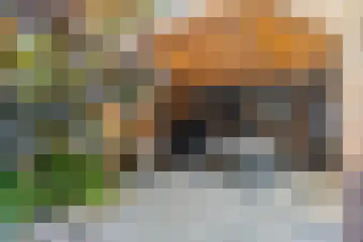 Evestraat 13 Veldhoven thumbnail 38