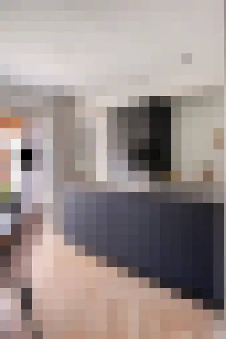 Evestraat 15 Veldhoven thumbnail 17