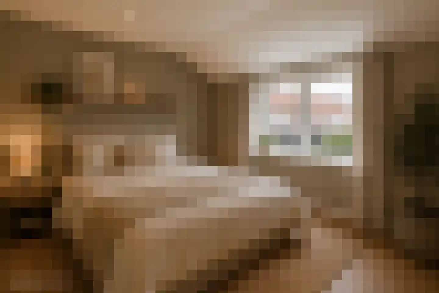 Evestraat 35 Veldhoven thumbnail 20