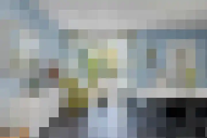 Eviestraat 8 Riethoven thumbnail 17