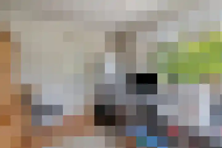 Eviestraat 8 Riethoven thumbnail 23