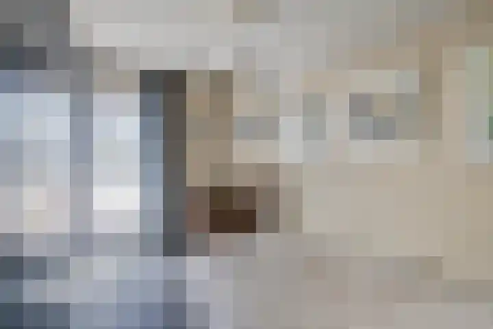 Eviestraat 8 Riethoven thumbnail 26