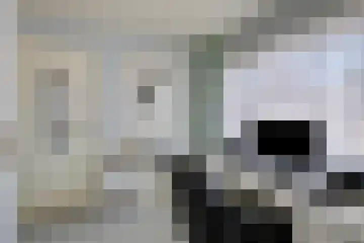 Eviestraat 8 Riethoven thumbnail 28