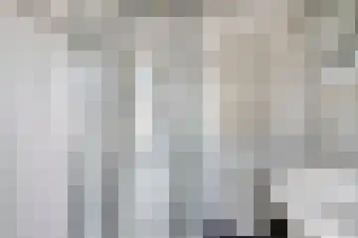 Eviestraat 8 Riethoven thumbnail 30