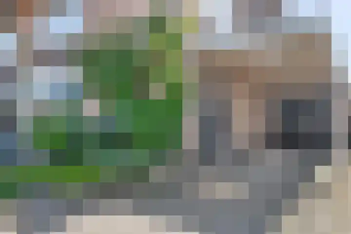 Eviestraat 8 Riethoven thumbnail 37