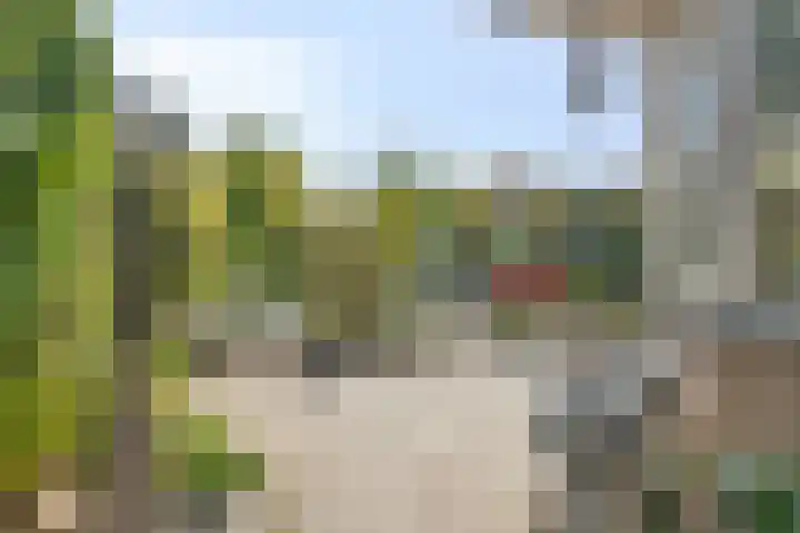 Eviestraat 8 Riethoven thumbnail 39