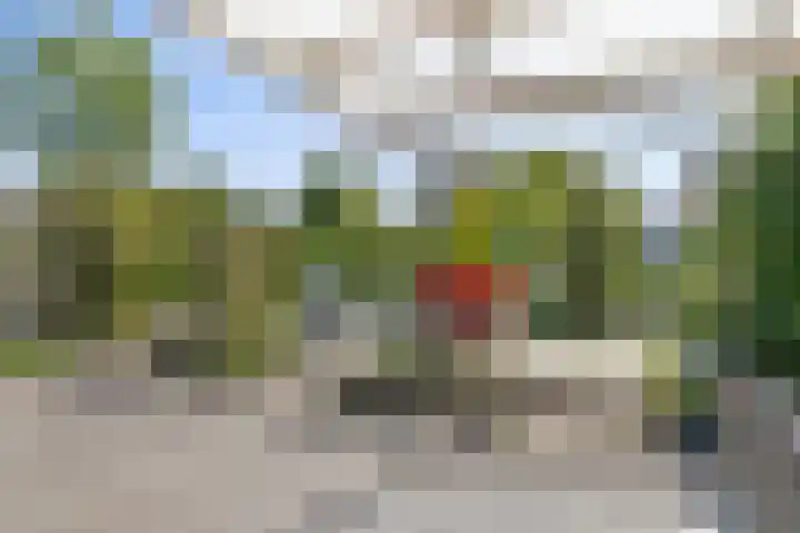 Eviestraat 8 Riethoven thumbnail 43