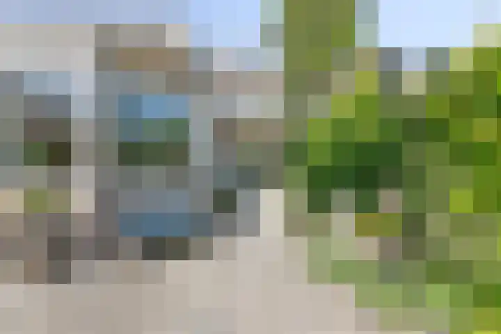 Eviestraat 8 Riethoven thumbnail 6