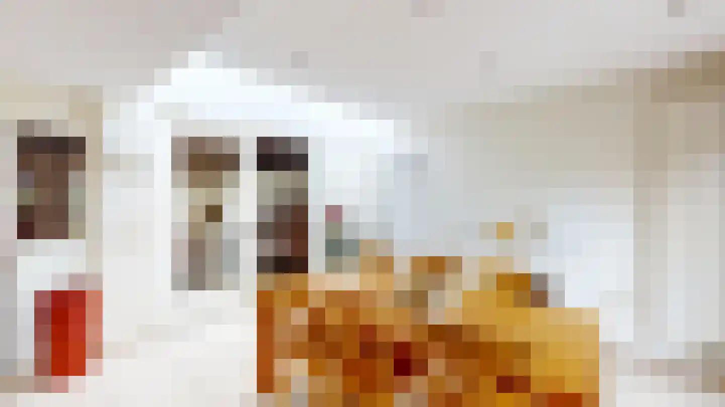 Eviestraat 9 Riethoven thumbnail 9