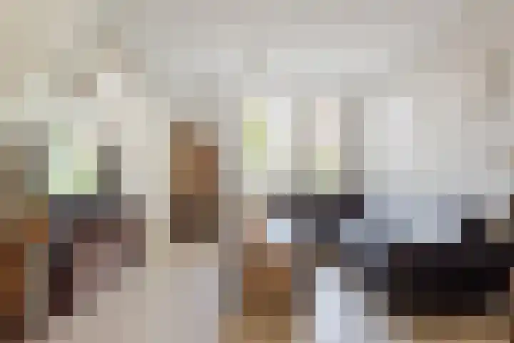 Evieveld 1 Gemert thumbnail 10