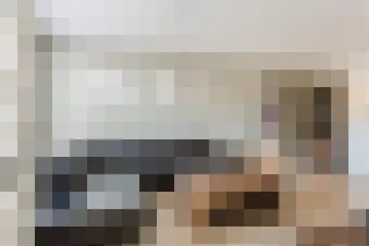 Evieveld 1 Gemert thumbnail 12